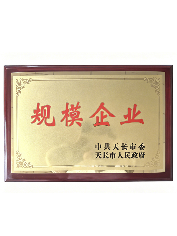 规模企业